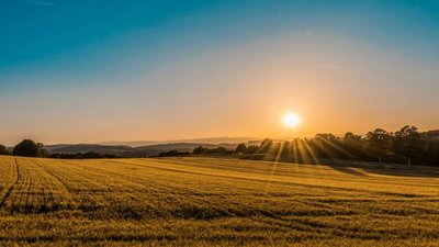 Якою буде погода у Львові та області завтра, 23 червня
