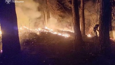 На Львівщині під час спалювання сухої трави постраждав чоловік