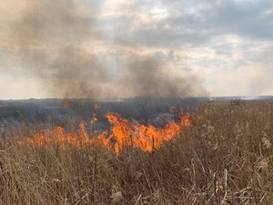 На Львівщині за добу 66 разів горіла суха трава