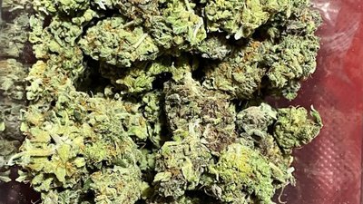 Поліція затримала двох ділків, які розповсюджували канабіс у Львові (ФОТО)