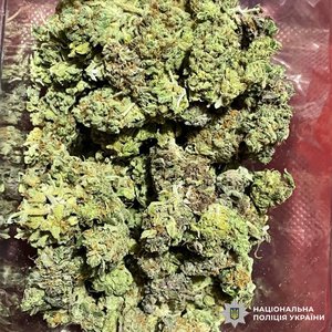 Фото: ГУНП у Львівській області