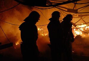 На Львівщині рятувальники запобігли знищенню вогнем двох будівель