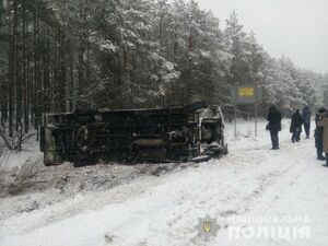 Маршрутка з пасажирами вилетіла з дороги й перекинулась: трьох людей госпіталізували (фото)