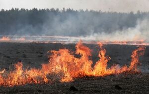 В Україні оголошено надзвичайний рівень пожежної небезпеки