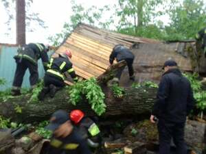 Рятувальники опублікували фото з місця падіння дерева на дівчину у Брюховичах