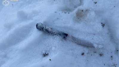 На Львівщині пʼяний молодик вбив співмешканку та намагався вбити сусіда