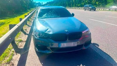У Києві пʼяний водій BMW збив двох велосипедистів, один - загинув (ВІДЕО)