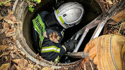 На Львівщині надзвичайники врятували собаку, який впав у каналізаційний люк (ФОТО)