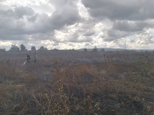 На Львівщині більше тижня не можуть загасити торфяну пожежу (фото)