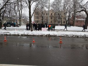 Під стінами Львівської облради пікетують лікарі перинатального центру