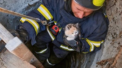 У Львові рятувальники витягнули кошеня з восьмиметрового колодязя