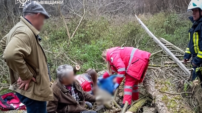 На Львівщині дерево впало на двох чоловіків