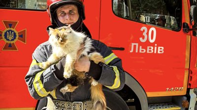 У Львові вогнеборці з пожежі врятували двох котів