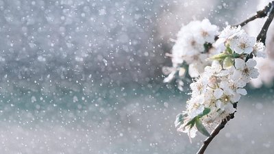 Якою буде погода у Львові та області завтра, 20 березня