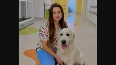 У львівській дитячій лікарні з’явився новий терапевт - золотистий ретривер Юкі