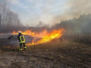 На Львівщині вогнеборці попередили виникнення масштабної пожежі сухої трави