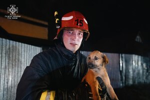 У Києві під час пожежі в будинку врятовано цуценя та кошеня (ФОТО)