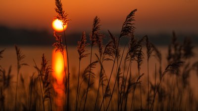 Якою буде погода у Львові та області завтра, 27 травня