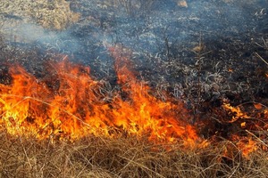 У Львові на двох вулицях горить суха трава