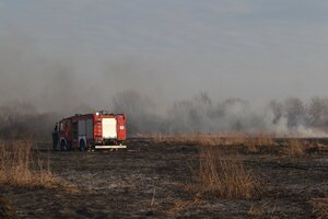 На Львівщині ліквідована торф’яна пожежа (фото)