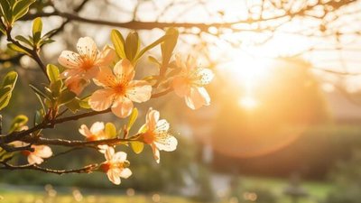 Якою буде погода у Львові та області завтра, 5 квітня