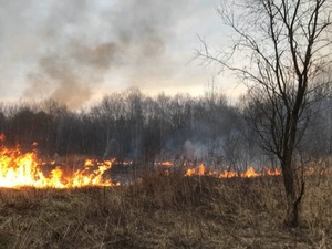 На Львівщині за добу сталося 136 пожеж сухої трави (фото)