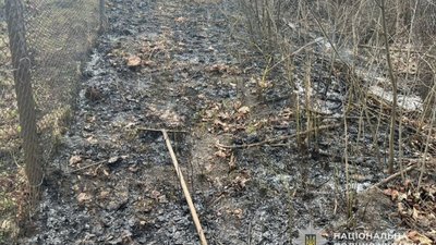 На Тернопільщині під час спалювання трави загинув чоловік