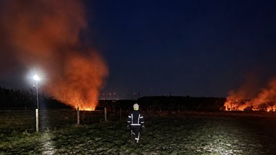За добу на Львівщині горіло понад 2,4 га землі