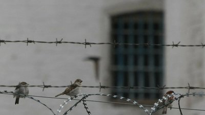 Суддя з Львівщини сяде на вісім років за грати