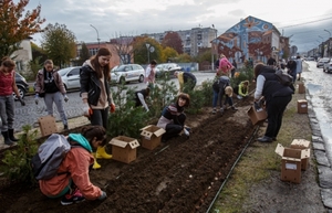 Невідомий водій знищив Алею тюльпанів пам'яті загиблого Героя Романа Жука (ФОТО)