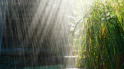 Якою буде погода у Львові та області завтра, 4 липня