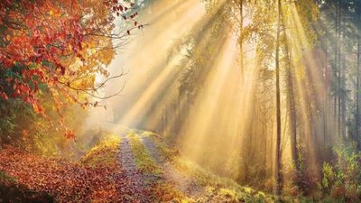 Якою буде погода у Львові та області завтра, 16 вересня