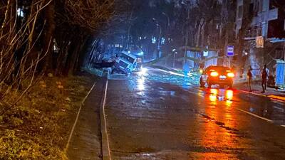 Через сильний вітер у Львові впало 5 дерев, які обірвали електромережу