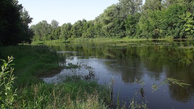 На Львівщині чоловік впав з обриву у річку зі швидкою течією