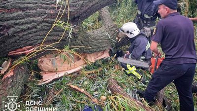 На Одещині дерево впало на намет із підлітками: 15-річний хлопець загинув