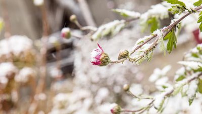 Якою буде погода у Львові та області завтра, 21 лютого