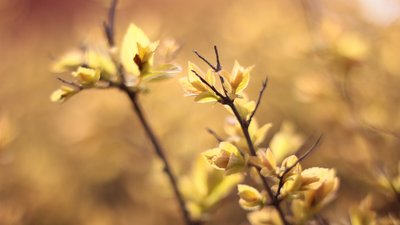 Яким буде день у Львові та області завтра, 6 червня