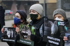 У Львові та Києві влаштували акції до Всесвітнього дня без хутра (фото, відео)