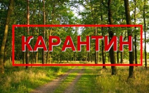 Село на Рівненщині «закрили» на карантин