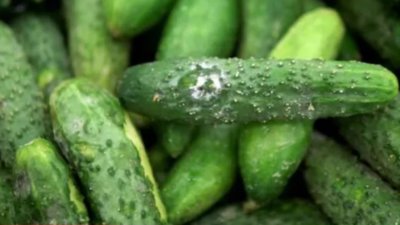 У Львові супермаркет оштрафували за овочі з ознаками плісняви та псування