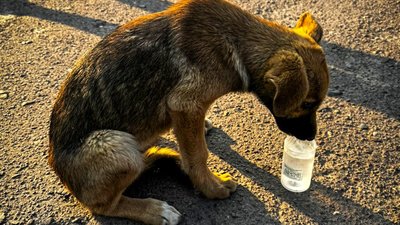 На Львівщині людська небайдужість врятувала життя (ФОТО)