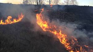 Жителів Львівщини закликають не спалювати суху траву