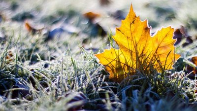 Якою буде погода у Львові та області завтра, 25 вересня