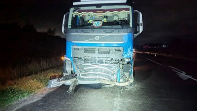 На Рівненщині через дику тварину сталася серйозна ДТП