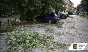 У Львові триває ліквідація наслідків негоди