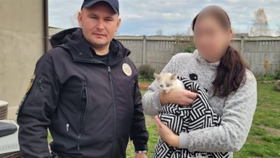 На Львівщині поліція притягнула до відповідальності батька дитини, яка розмальовувала кота