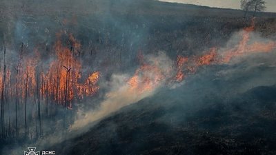 На Львівщині за добу було 80 пожеж сухостою