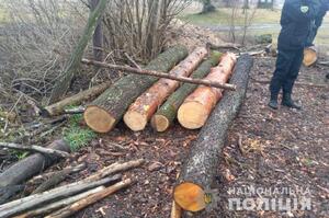 На Жовківщині зафіксували ще один факт незаконної рубки дерев (фото)