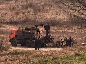 На Львівщині селяни зі священником не дали вивезти крадений ліс посеред білого дня