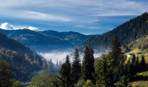 За незаконну передачу земельних ділянок у Карпатах судитимуть землевпорядника